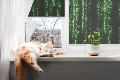 Fensterrollo in der Farbe Grün