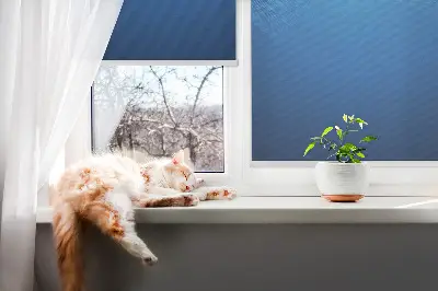 Fensterrollo mit blauem Animationsmotiv