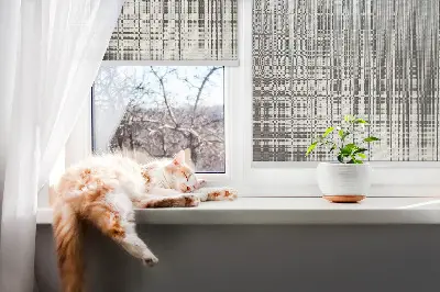 Fensterrollo für den Innenbereich mit Spiegelabstraktion Motiv
