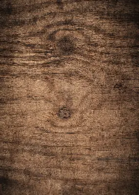 Fensterrollo für den Innenbereich in dunkler Holzoptik