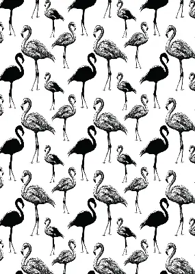 Fensterrollo für den Innenbereich mit schwarzem Flamingomuster