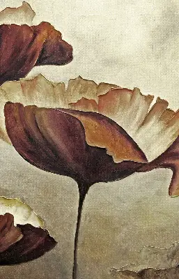 Fensterrollo mit Blumenmotiv