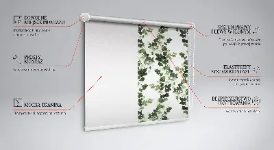 Fensterrollo mit Blättermotiv