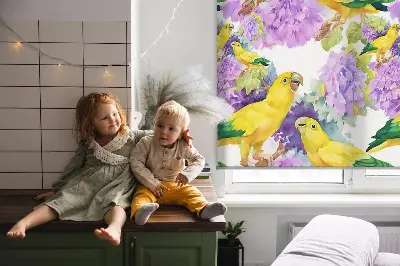 Fensterrollo für den Innenbereich mit gelbem Papageienmotiv