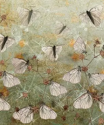 Fensterrollo mit Motiv Schmetterlinge auf der Wiese