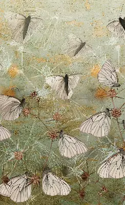 Fensterrollo mit Motiv Schmetterlinge auf der Wiese