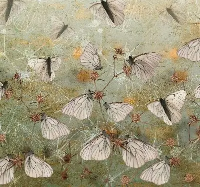 Fensterrollo mit Motiv Schmetterlinge auf der Wiese
