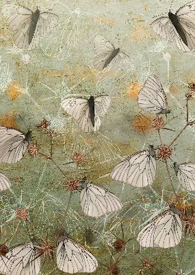 Fensterrollo mit Motiv Schmetterlinge auf der Wiese