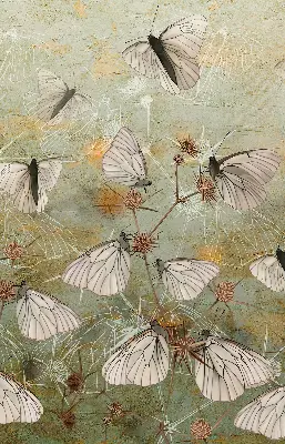 Fensterrollo mit Motiv Schmetterlinge auf der Wiese