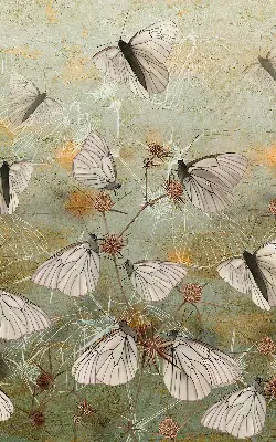 Fensterrollo mit Motiv Schmetterlinge auf der Wiese