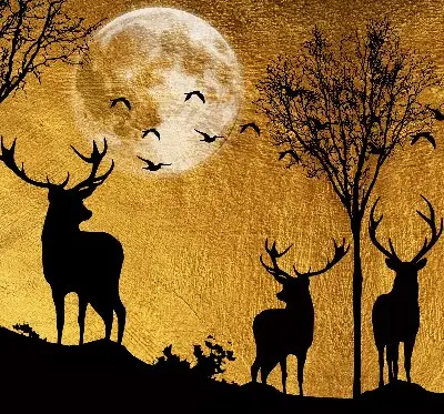 Fensterrollo mit dem Motiv Hirsche bei Nacht