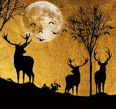 Fensterrollo mit dem Motiv Hirsche bei Nacht
