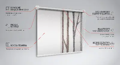 Fensterrollo mit Motiv von Baumstämmen
