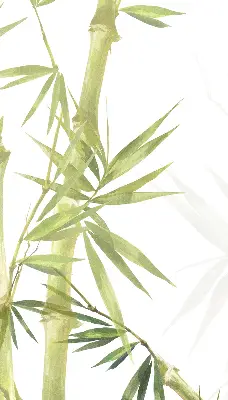 Bambusrollo aus natürlichem Bambus gefertigt