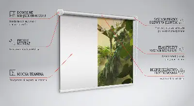 Fensterrollo mit Pflanzenrahmen
