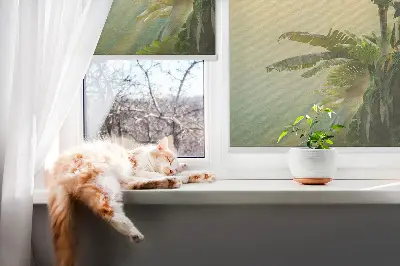 Fensterrollo mit Pflanzenrahmen