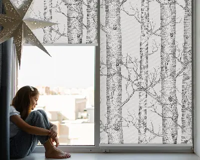 Fensterrollo für den Innenbereich