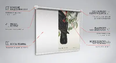 Fensterrollo für den Innenbereich mit Motiv von Vögeln auf einem Ast