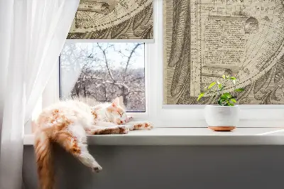 Rollo für Fenster mit dem Motiv einer Karte der alten Welt