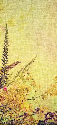 Fensterrollo für Pflanzen
