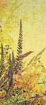 Fensterrollo für Pflanzen