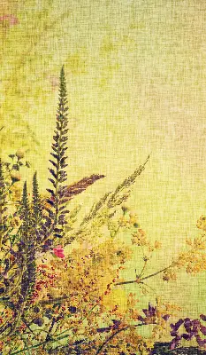 Fensterrollo für Pflanzen