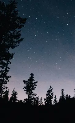 Fensterrollo für den Innenbereich mit Sternenhimmel-Motiv