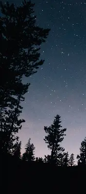 Fensterrollo für den Innenbereich mit Sternenhimmel-Motiv