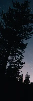 Fensterrollo für den Innenbereich mit Sternenhimmel-Motiv