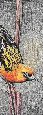 Fensterrollo mit Motiv von einem Vogel auf einem Ast