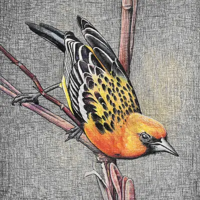 Fensterrollo mit Motiv von einem Vogel auf einem Ast