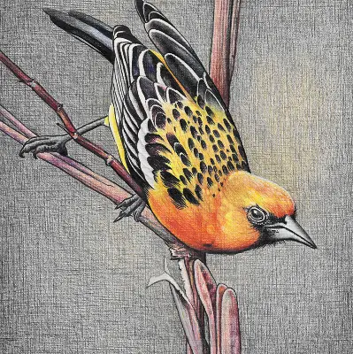 Fensterrollo mit Motiv von einem Vogel auf einem Ast