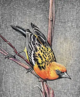 Fensterrollo mit Motiv von einem Vogel auf einem Ast