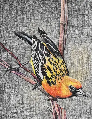 Fensterrollo mit Motiv von einem Vogel auf einem Ast