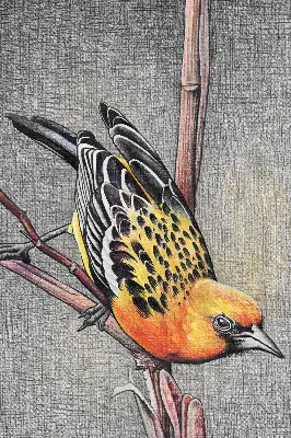 Fensterrollo mit Motiv von einem Vogel auf einem Ast