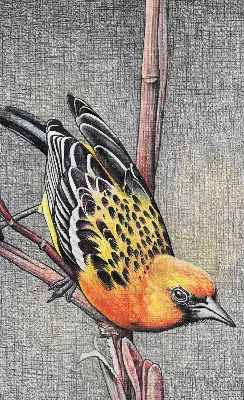 Fensterrollo mit Motiv von einem Vogel auf einem Ast