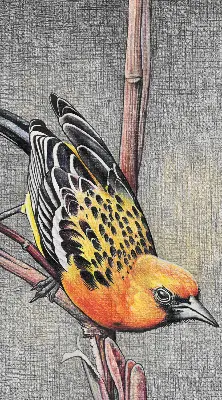 Fensterrollo mit Motiv von einem Vogel auf einem Ast