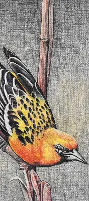 Fensterrollo mit Motiv von einem Vogel auf einem Ast
