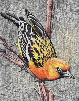 Fensterrollo mit Motiv von einem Vogel auf einem Ast