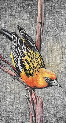 Fensterrollo mit Motiv von einem Vogel auf einem Ast