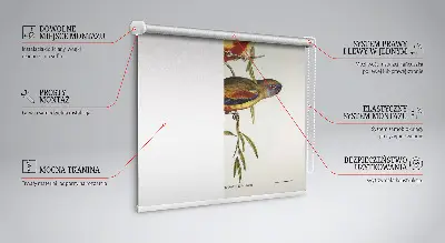 Fensterrollo mit dem Motiv von zwei Vögeln auf einem Ast