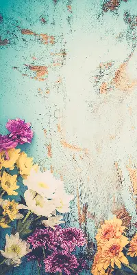 Fensterrollo mit Motiv von Blumen auf blauem Hintergrund