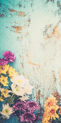 Fensterrollo mit Motiv von Blumen auf blauem Hintergrund