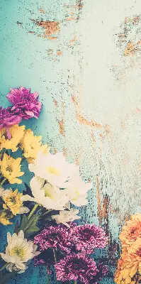 Fensterrollo mit Motiv von Blumen auf blauem Hintergrund