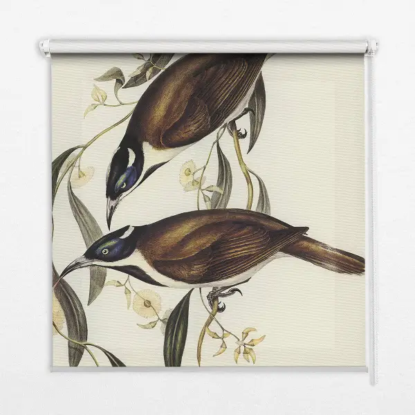 Fensterrollo mit Motiv von Vögeln auf einem Baum