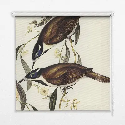 Fensterrollo mit Motiv von Vögeln auf einem Baum