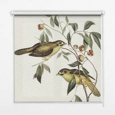 Rollo Fenster mit Motiv von Vögeln auf einem Baum