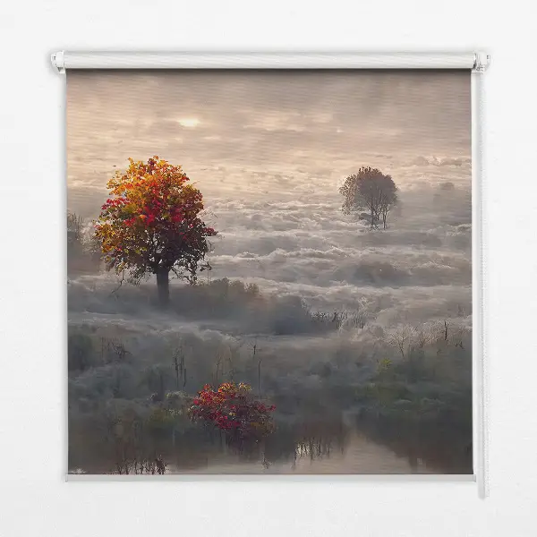 Fensterrollo mit Motiv Bäume im Nebel für den Innenbereich