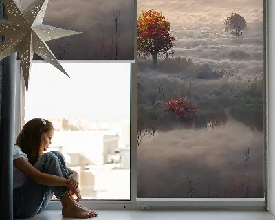 Fensterrollo mit Motiv Bäume im Nebel für den Innenbereich