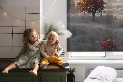 Fensterrollo mit Motiv Bäume im Nebel für den Innenbereich